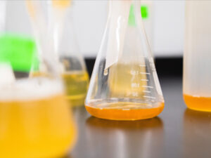 Marine & oilefield quipment suppliers in UAE